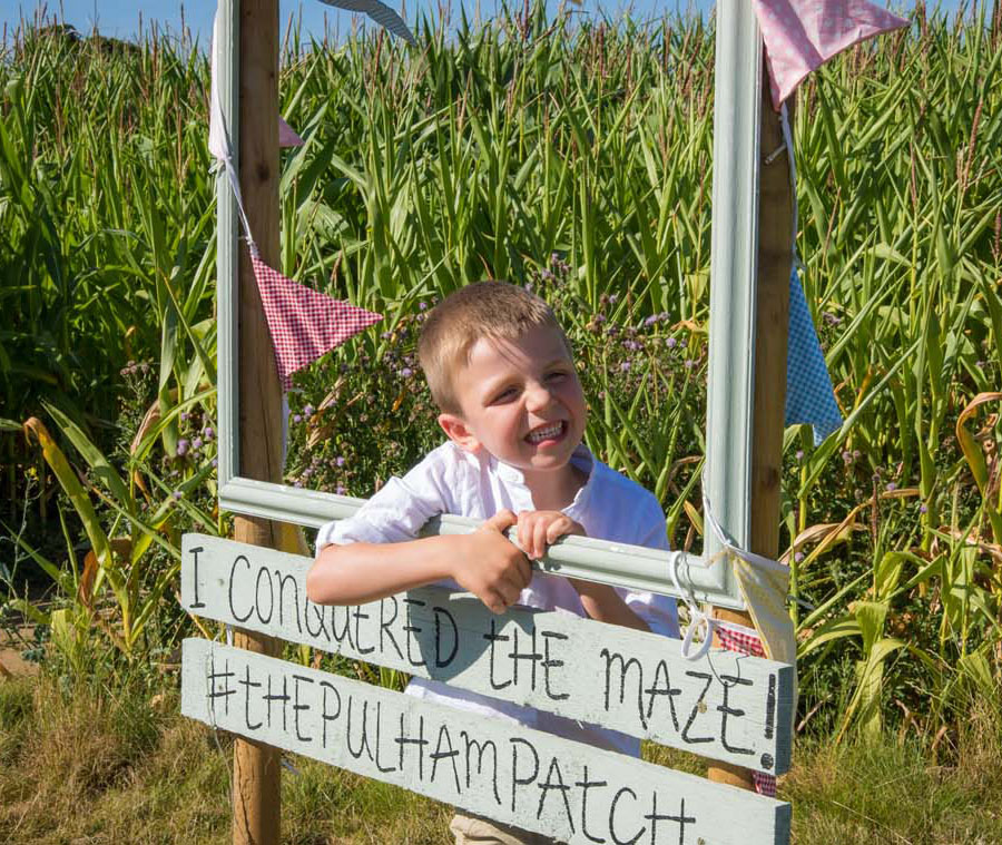 Pulham Patch Maize Maze